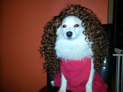Dog profile photo
