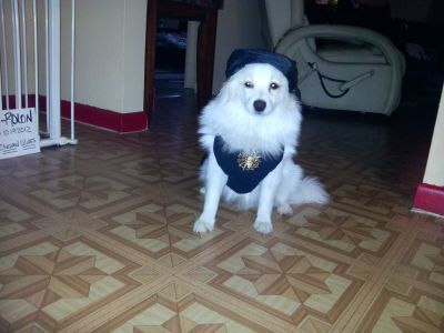 Dog profile photo