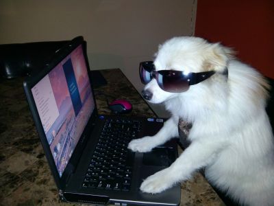 Dog profile photo